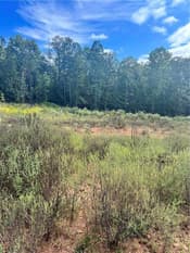 553 Lee Road 2192, Cusseta, AL, 36852