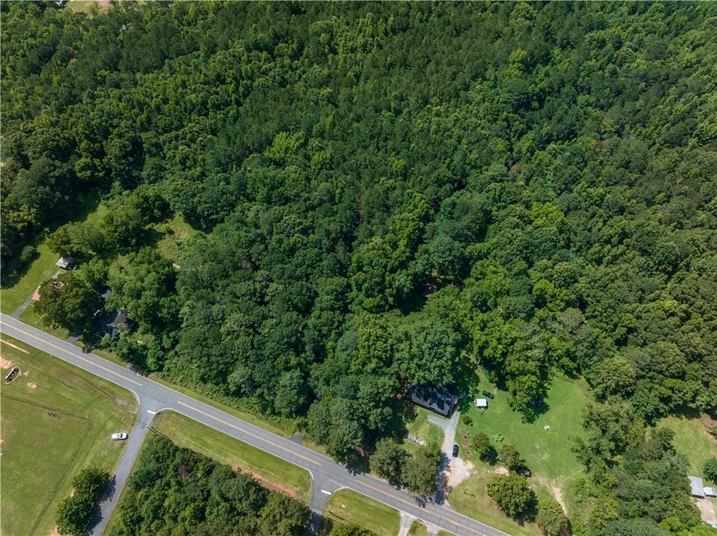 0 GA HWY 208, Waverly Hall, GA, 31831 — Photo 2