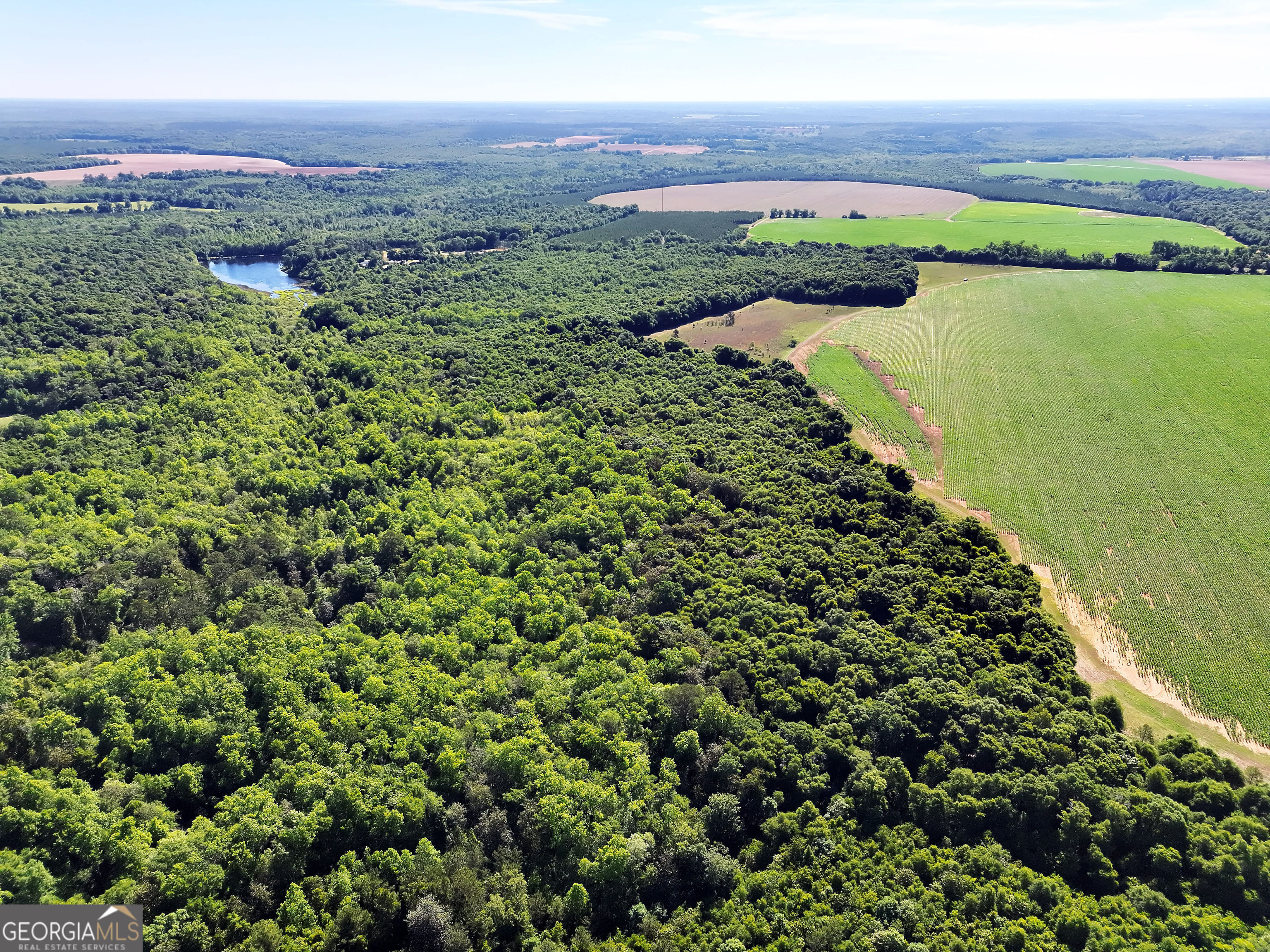 2415 U.S. 82, Shellman, GA, 39886