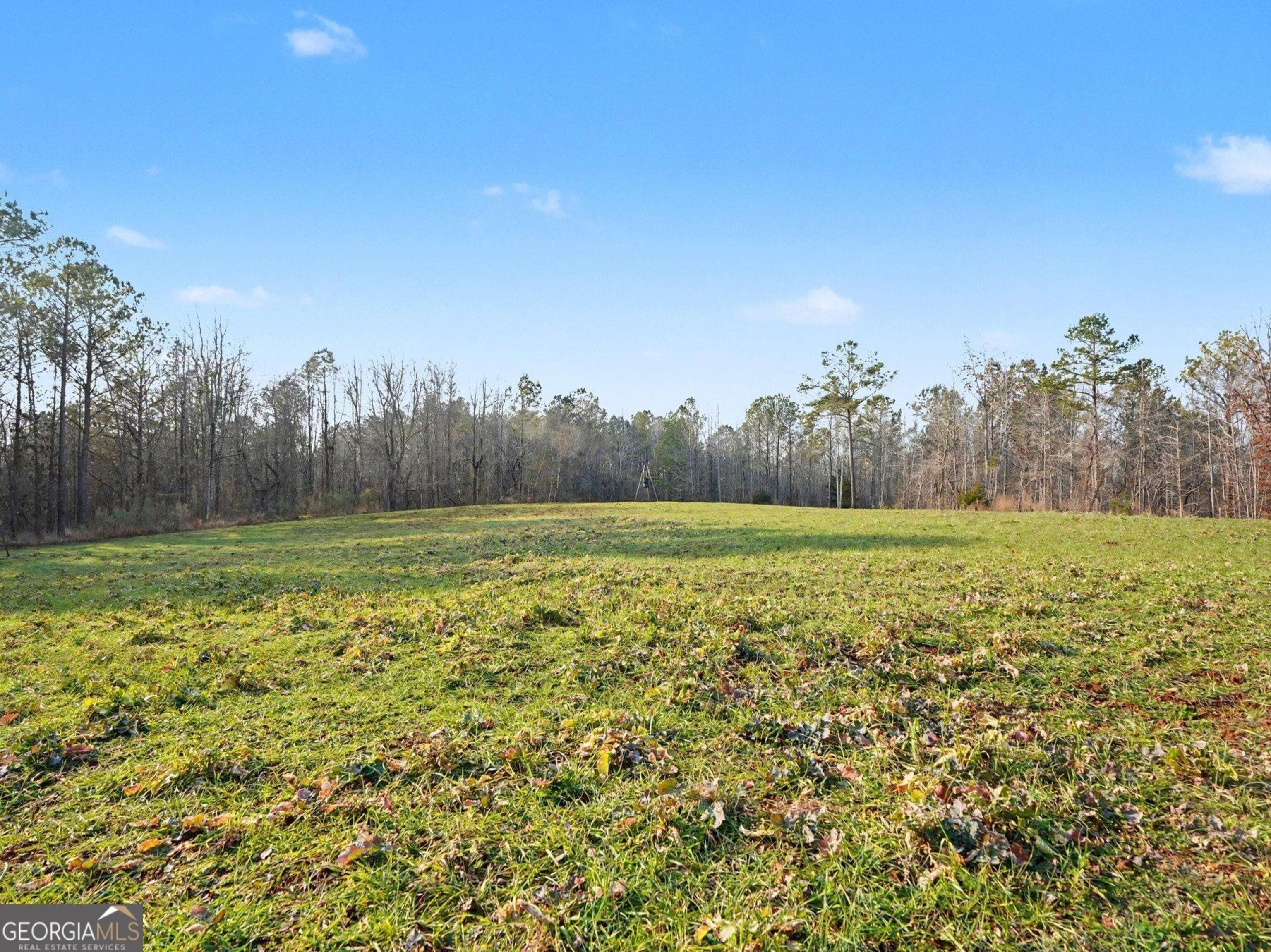 0 Logtown Road, Yatesville, GA, 31097