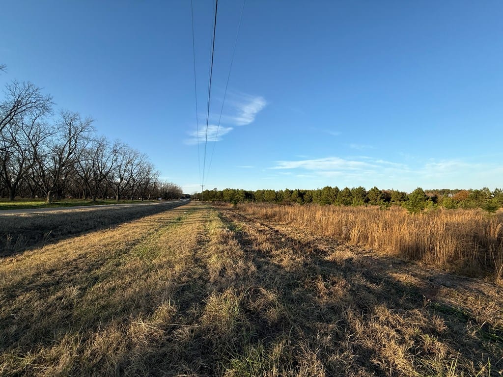 0 Ga Highway 0041 South, Buena Vista, GA, 31803