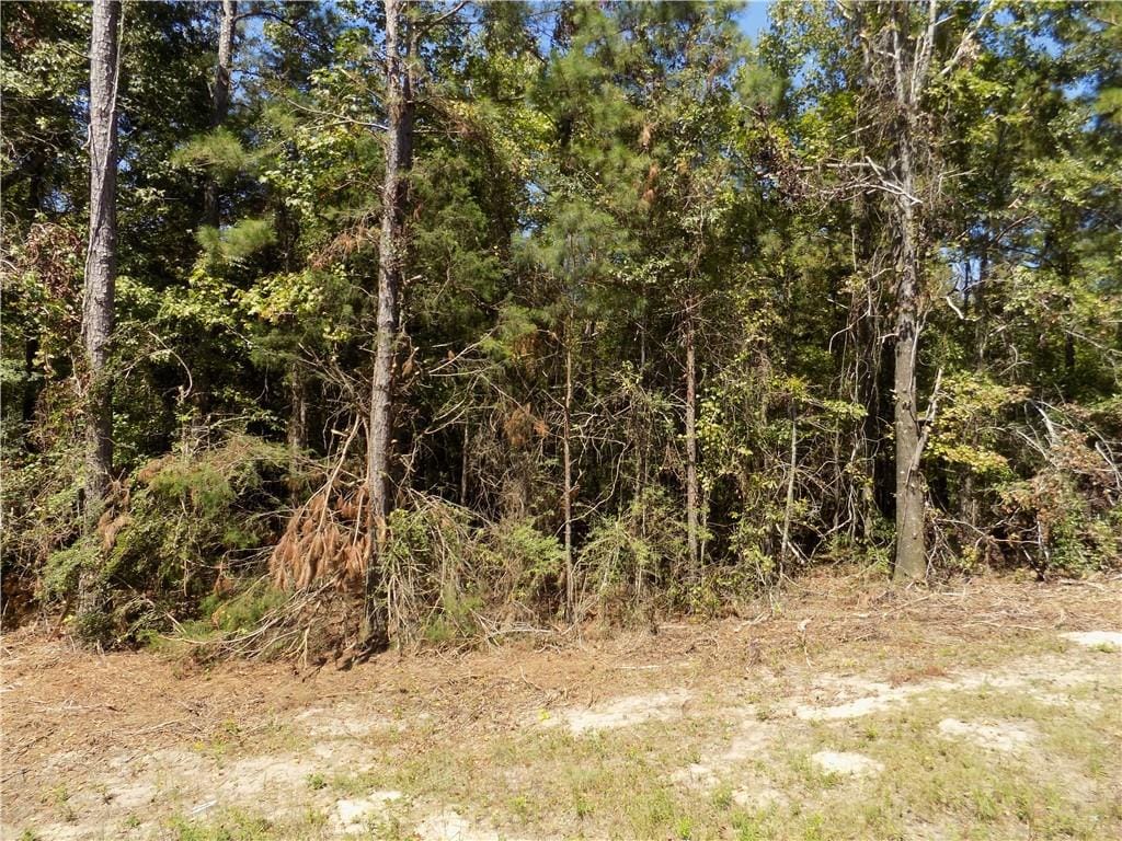 Lot 1 Macon County Road 24, Auburn, AL, 36830 — Photo 3