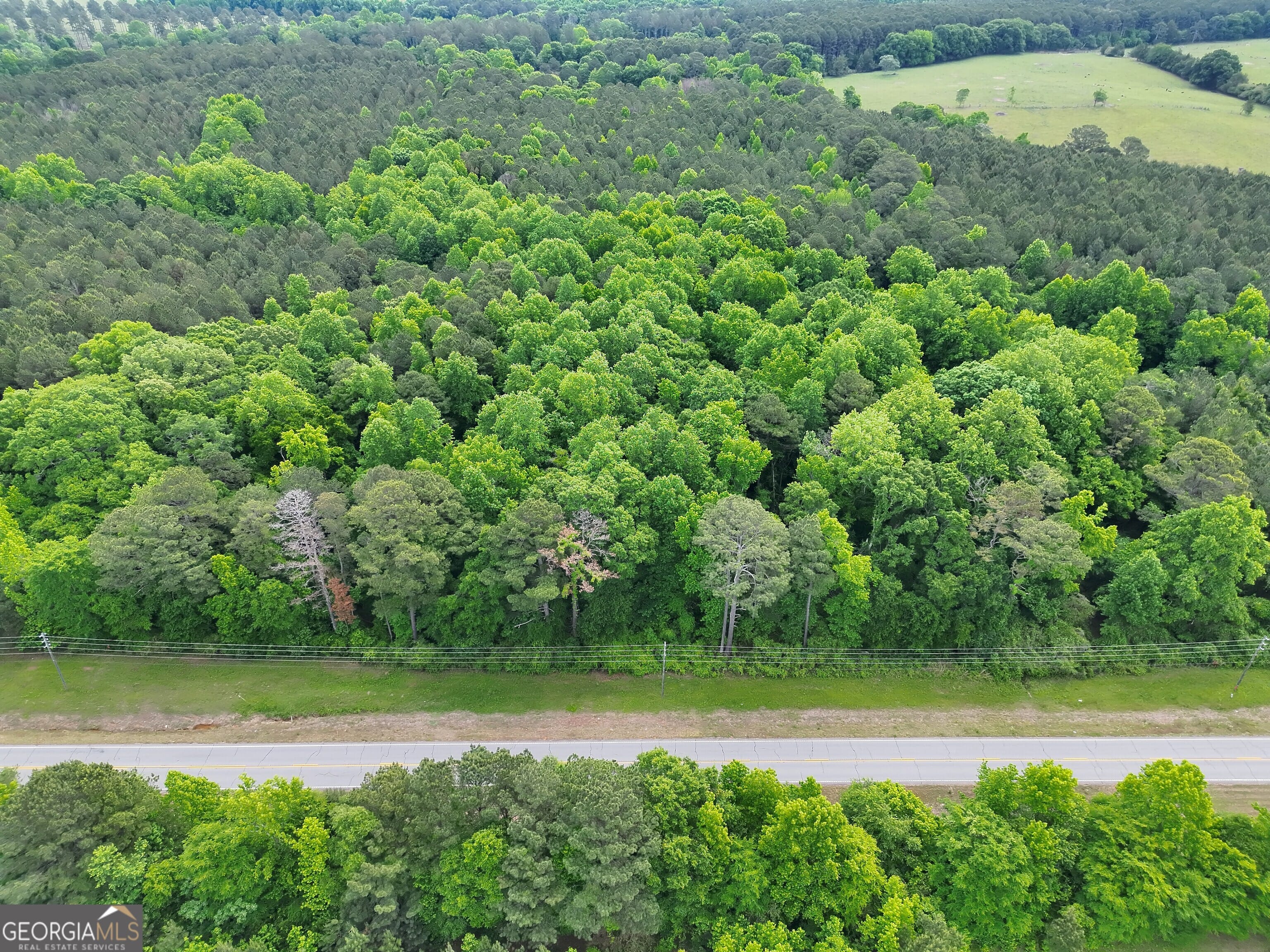 14+ ACRES Highway 85, Gay, GA, 30218