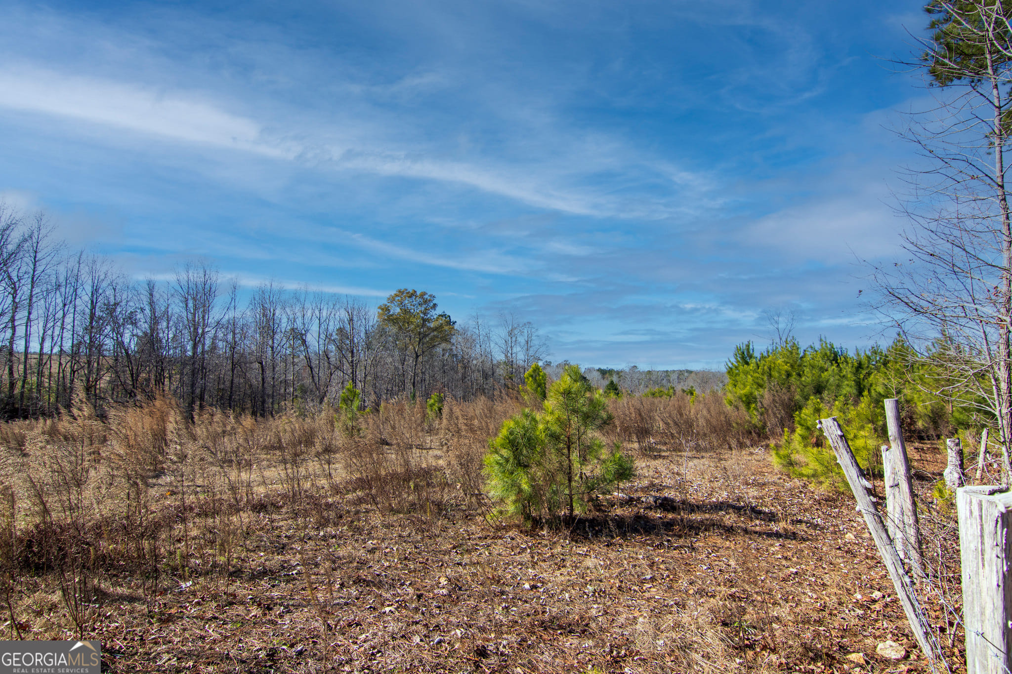 0 Chestnut Grove Rd, Shiloh, GA 31826