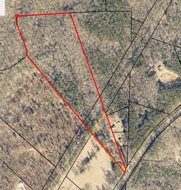 21 Acres Ga Highway 0085, Waverly Hall, GA, 31831 — Photo 2