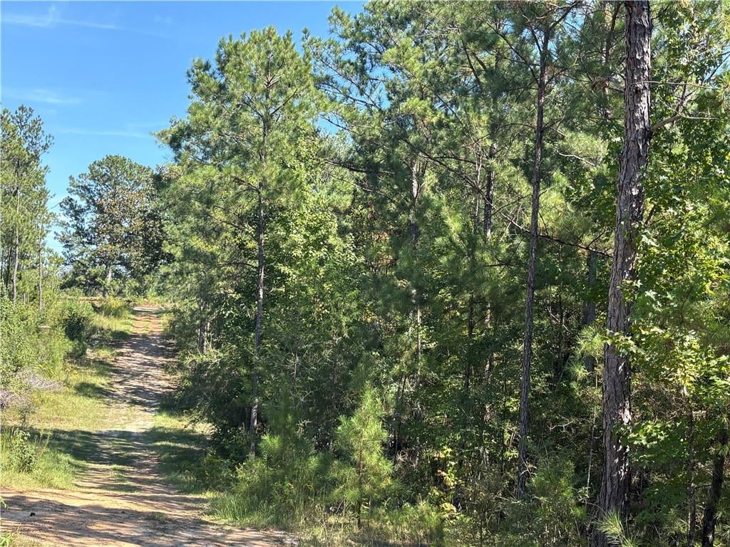 2326 Co Rd 55, Notasulga, AL 36866