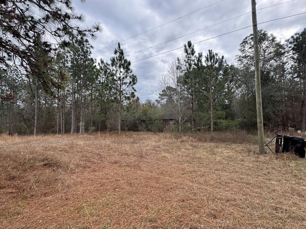 7225 Beulah Lane, Baconton, GA, 31779