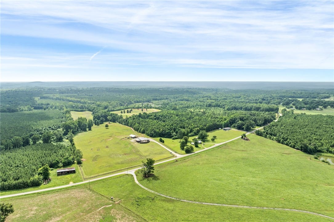 6171 Co Rd 9, La Fayette, AL 36862, Vast green acreage unfolds under an endless sky, p