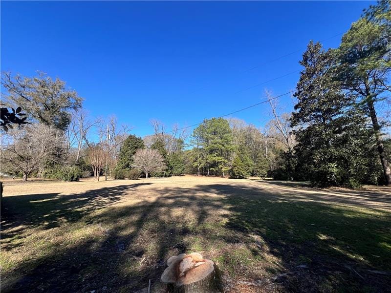 62 LeConte, Pittsview, AL, 36871 — Photo 3