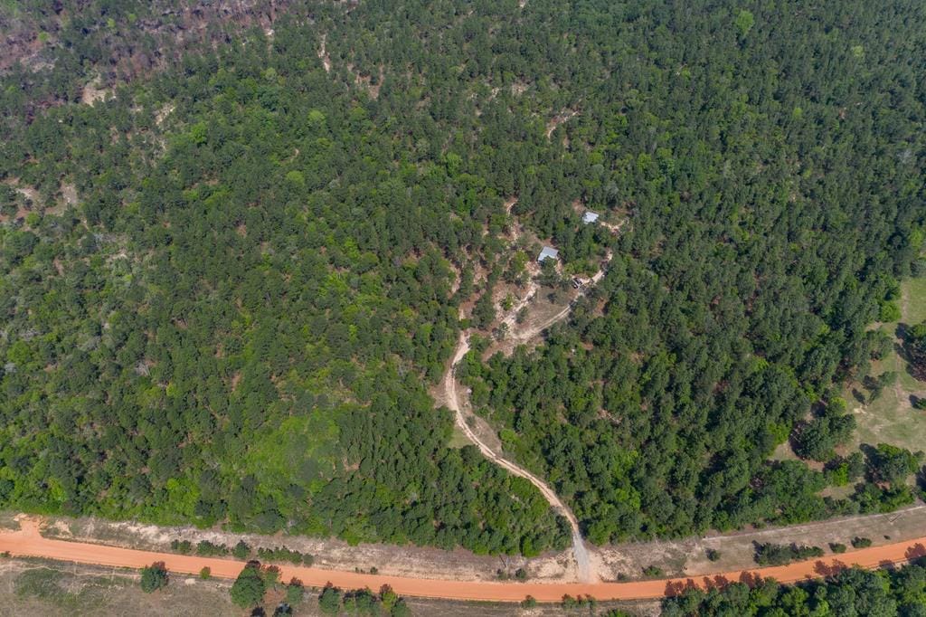 402 Palmer Cemetery, Box Springs, GA, 31801