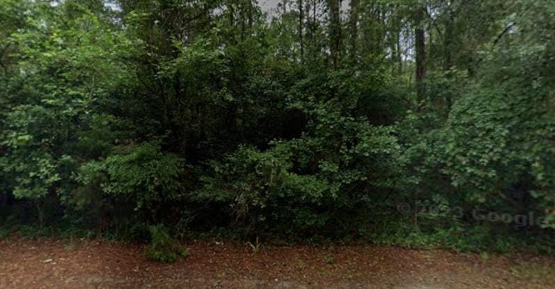 710 Johnny W Williams Road, Albany, GA, 31701