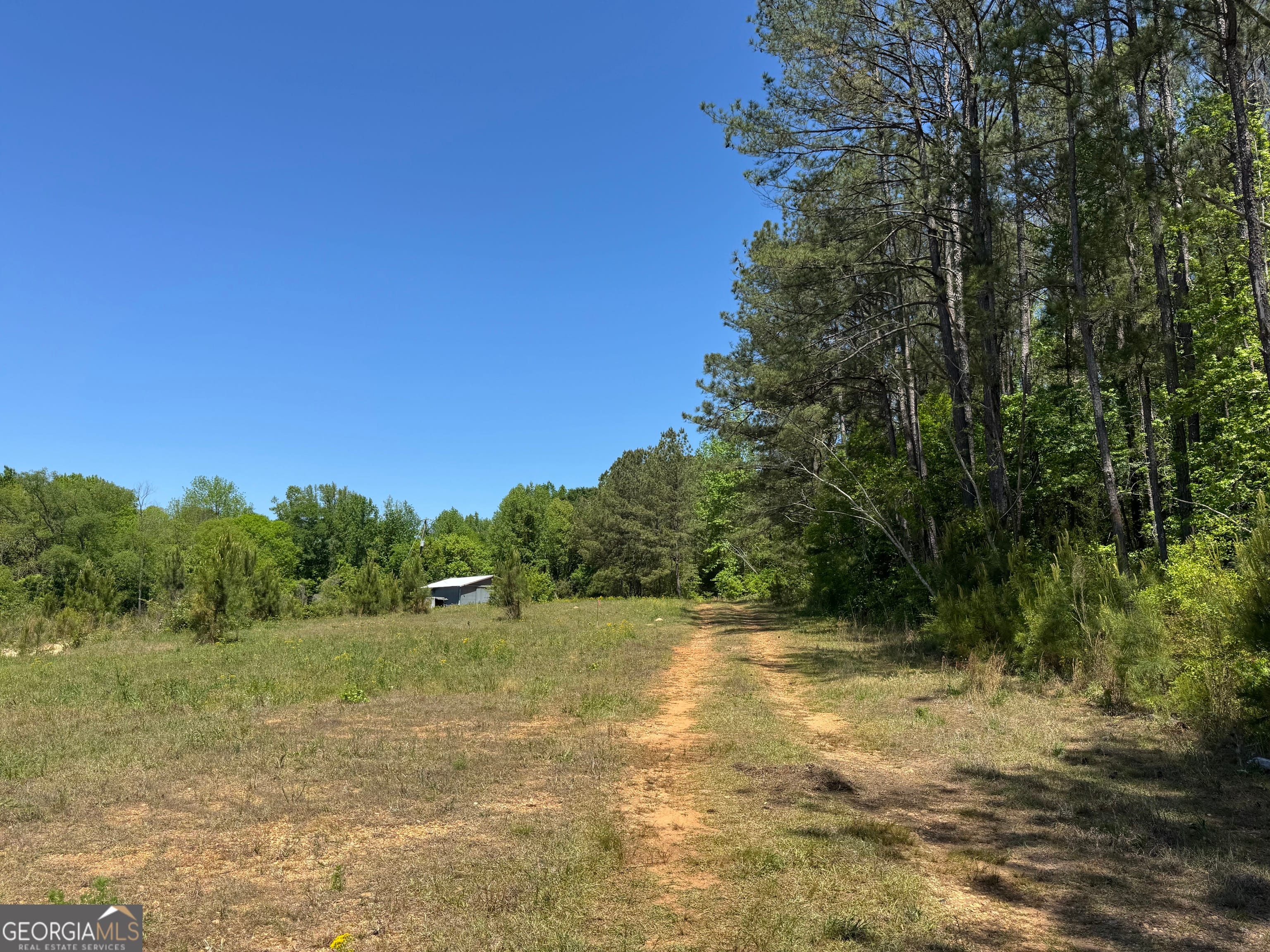 0 Satterwhite, Roanoke, AL, 36274
