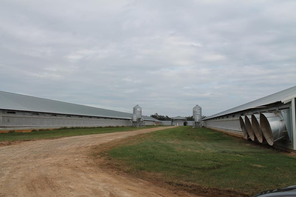 1658 Hickory Head Rd, Quitman, GA 31643, USA
