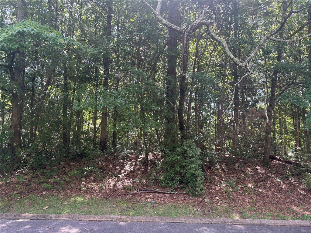 1405 Scott Street, Opelika, AL, 36801