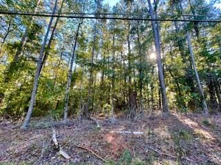 .33 acre West Pine Lake Drive, West Point, GA, 31833