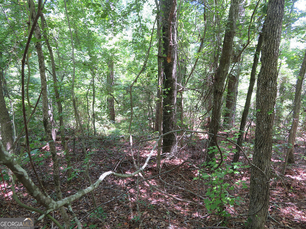 0 Pineville, Buena Vista, GA, 31803