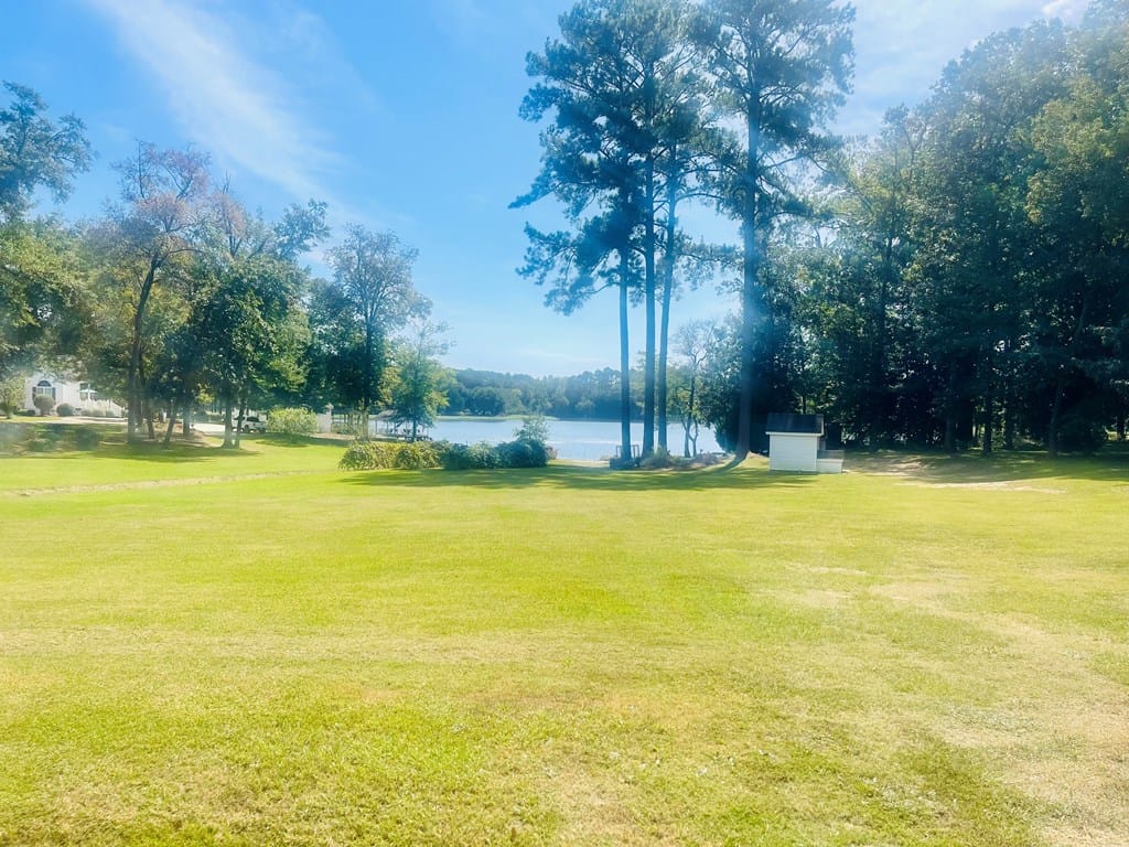 0 Lewis Mill Lake Road, Vienna, GA, 31092