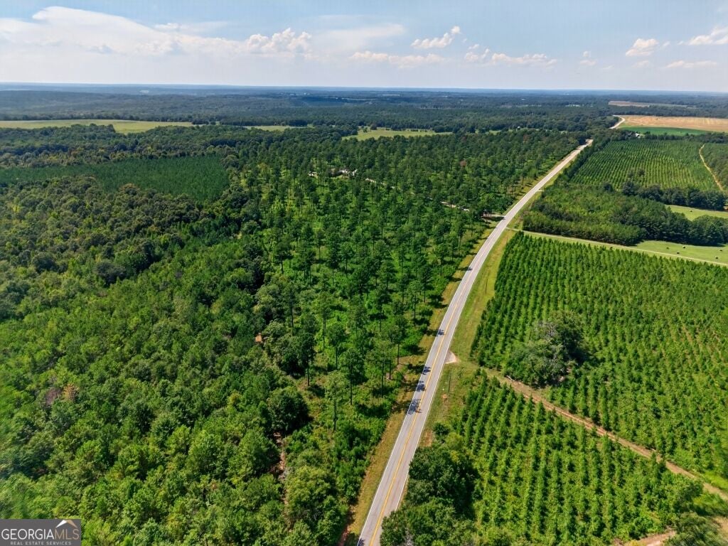 Buena Vista, GA 31803