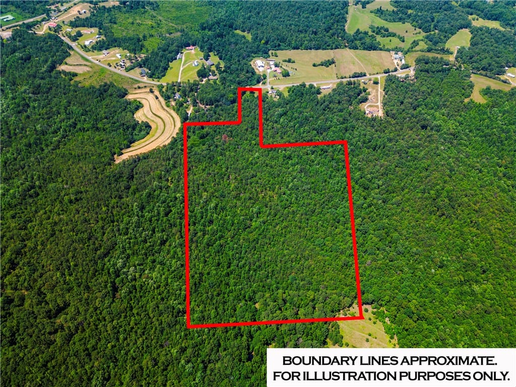 0 COUNTY ROAD 356, CLANTON, AL, 35045 — Photo 3