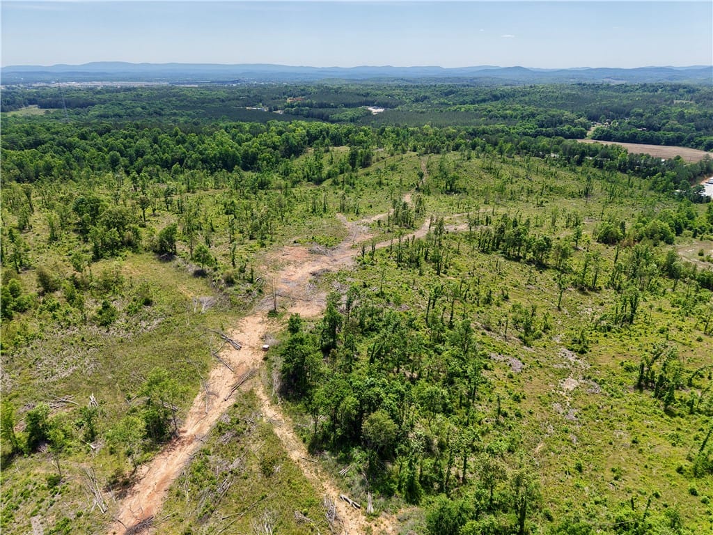 0 Speedway Industrial Dr, Lincoln, AL 35096, Standing timber for regeneration and wildlife corr