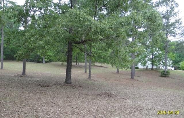 144 Old Sardis Church Road, Clayton, AL, 36016