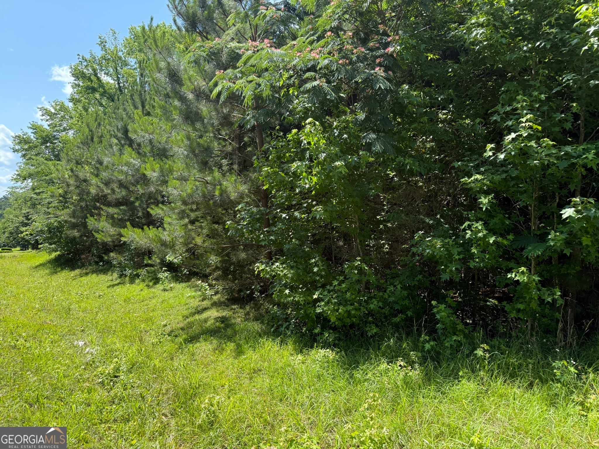 1425 River Rd, Warm Springs, GA 31830
