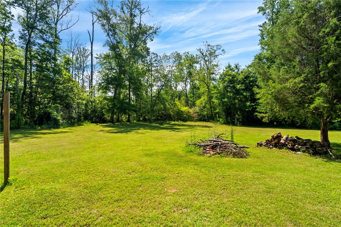 2226 Vincente Dr, Auburn, AL 36830, A verdant, open field extends to a lush tree line