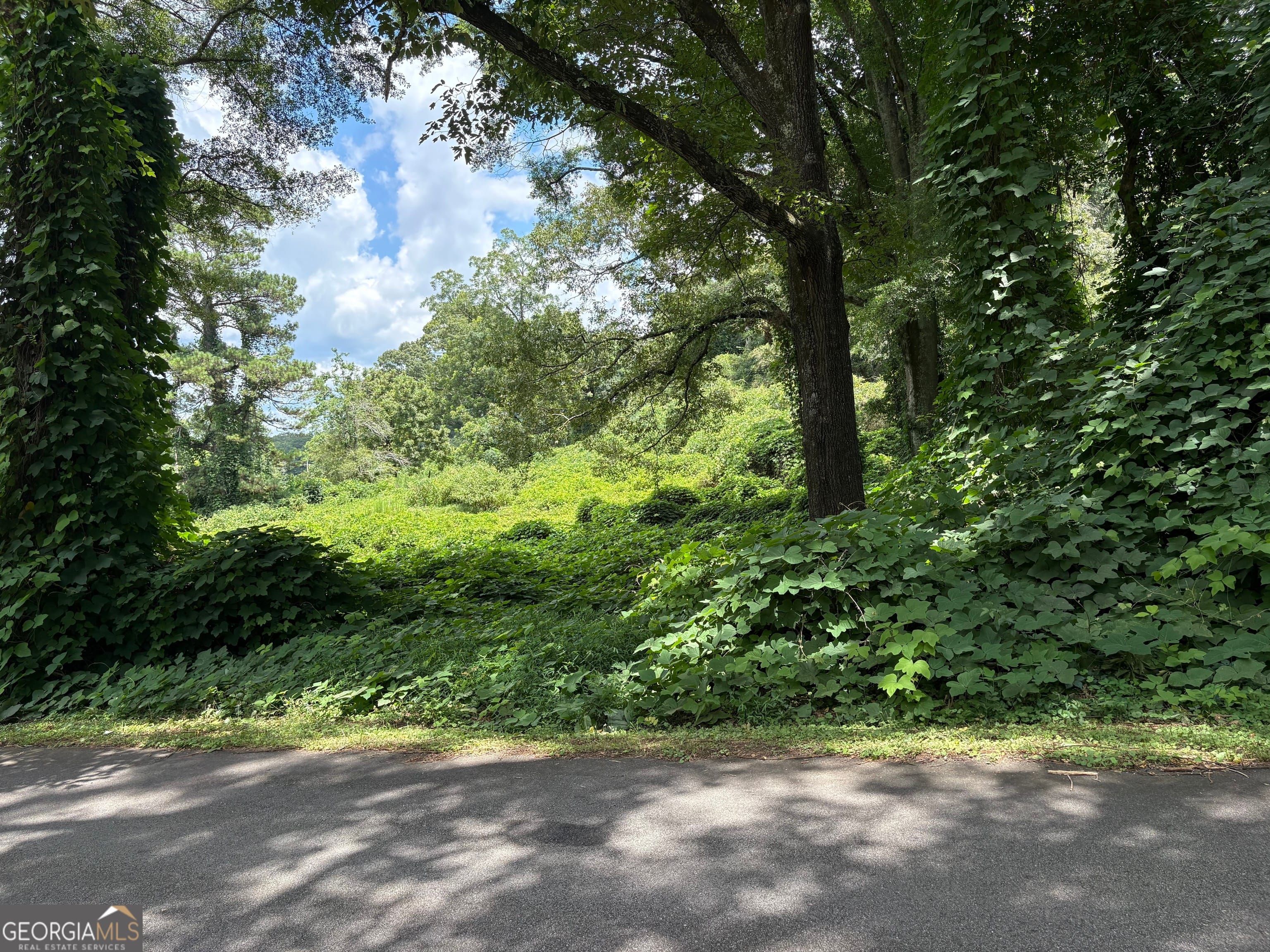 0 Pine St, Hogansville, GA 30230