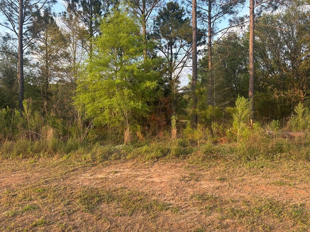 119 Partridge Circle, Leesburg, GA, 31763