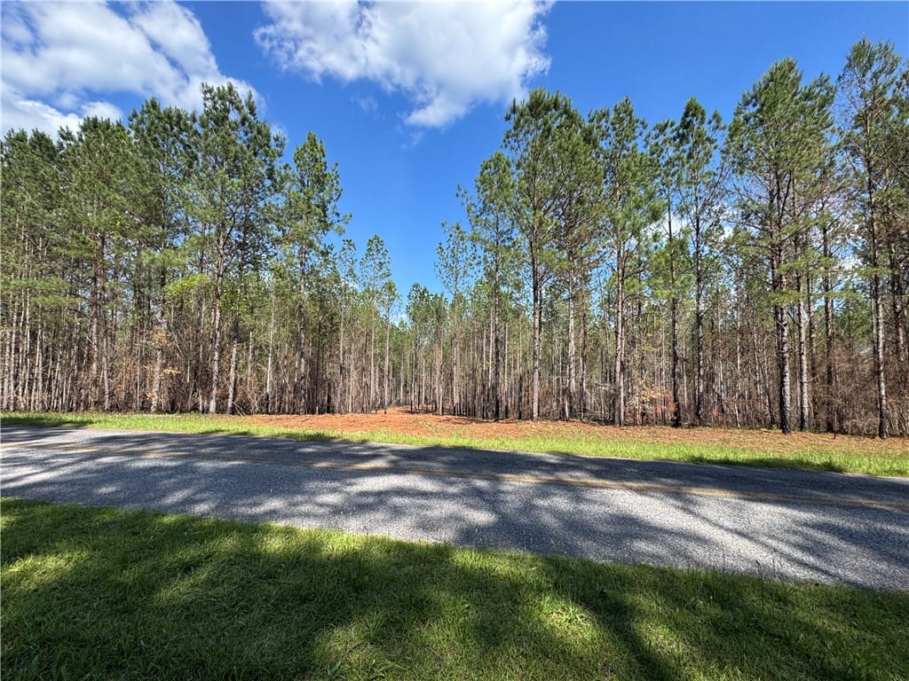 0 BARRON'S BRIDGE, Dadeville, AL, 36853