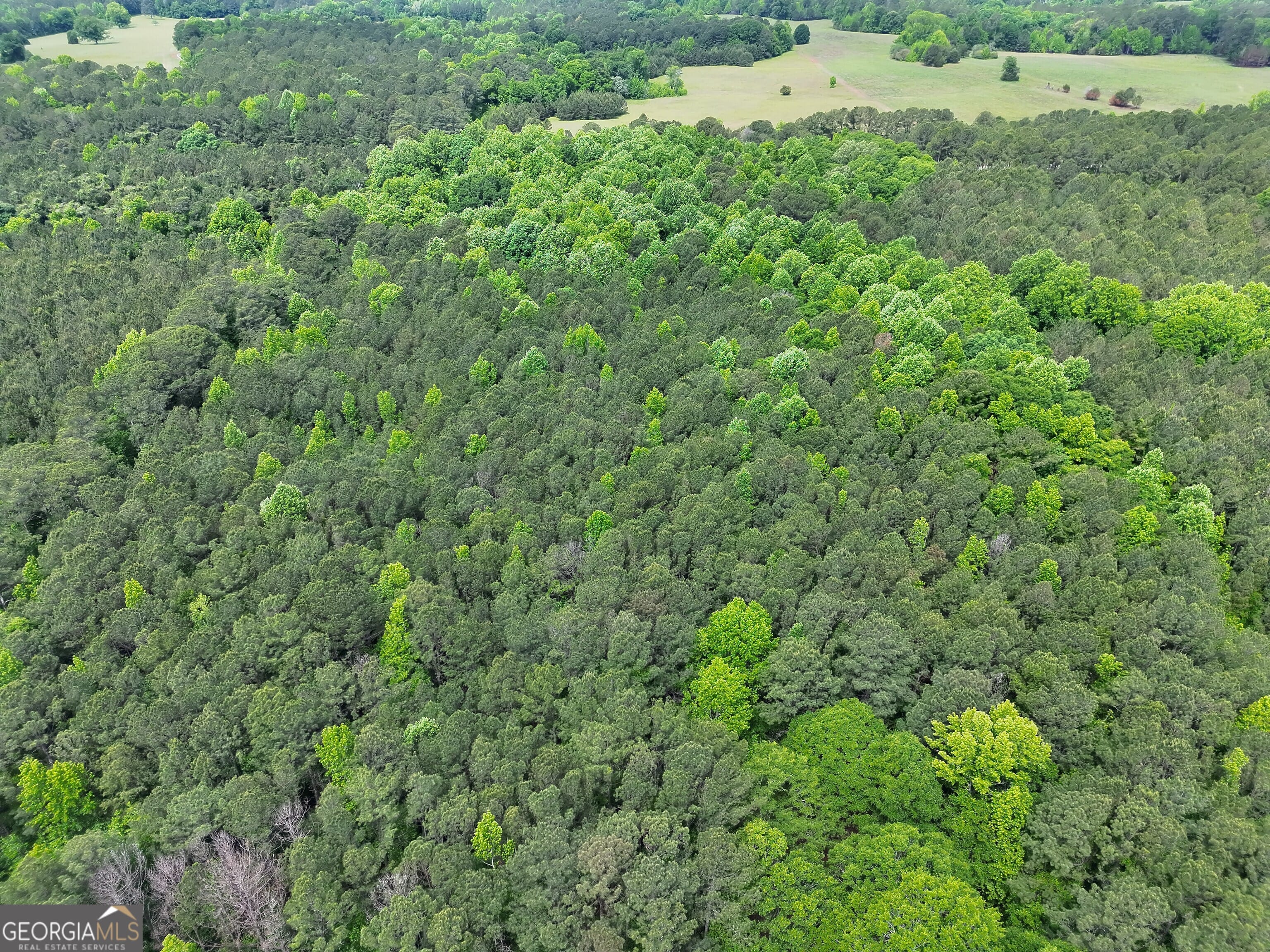 14+ ACRES Highway 85, Gay, GA, 30218