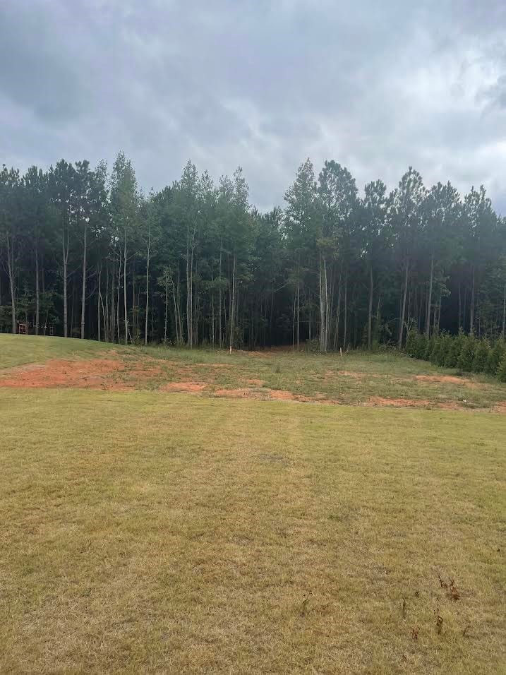 Lot 2A-1 LEE ROAD 155, Salem, AL, 36874