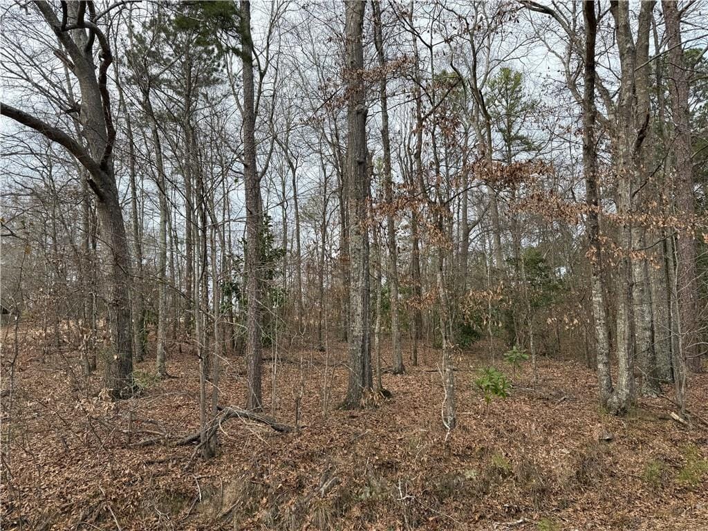 7 Cowell Court, Salem, AL, 36874