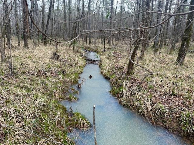 0 John Allen Carter Road, Butler, GA, 31006