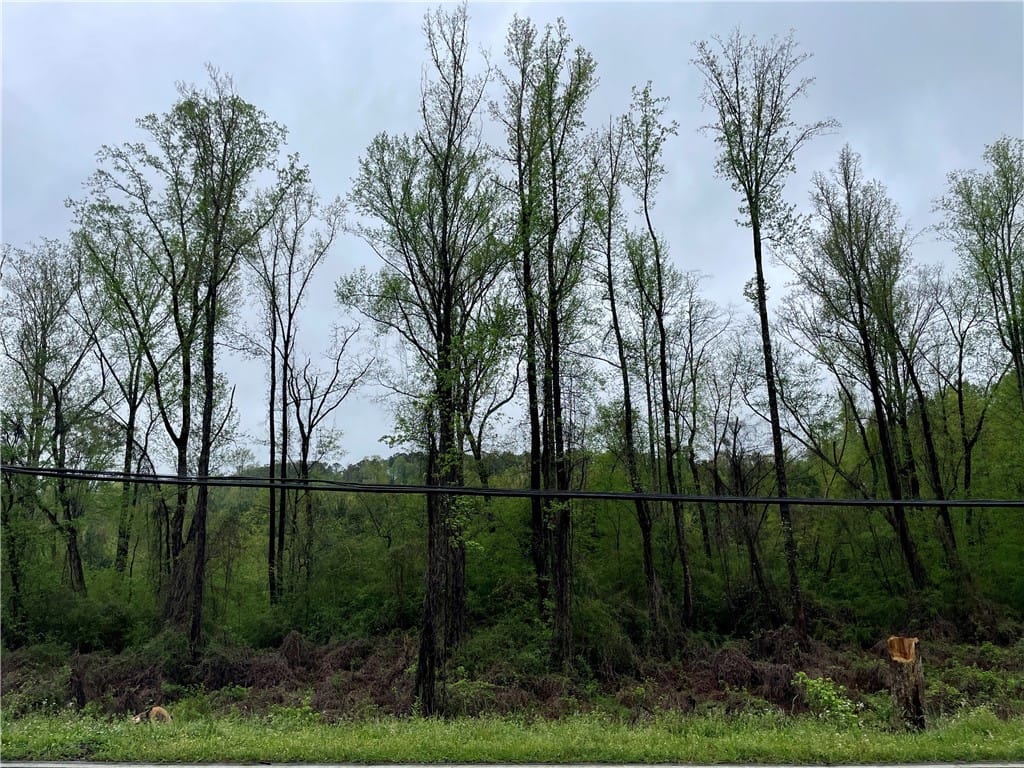 0 LAFAYETTE, Dadeville, AL, 36853 — Photo 2