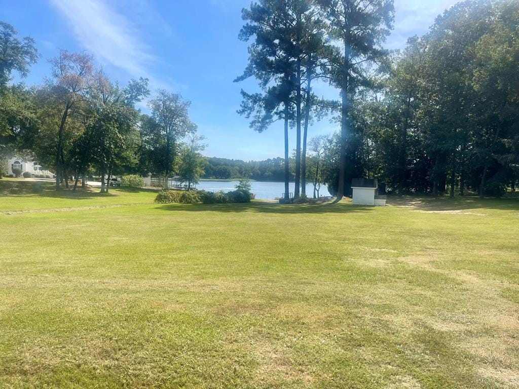 0 Lewis Mill Lake Road, Vienna, GA, 31092, Main View