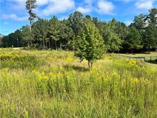 21 Lee Road 2192, Cusseta, AL, 36852