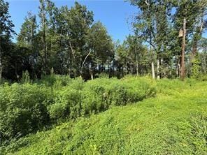 0 Sunnylane Drive, Smiths Station, AL, 36877 — Photo 2