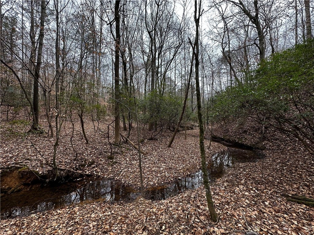 0 LEE ROAD 367, Valley, AL, 36854