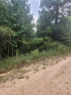 28256 COUNTY ROAD 2, Hardaway, AL, 36039