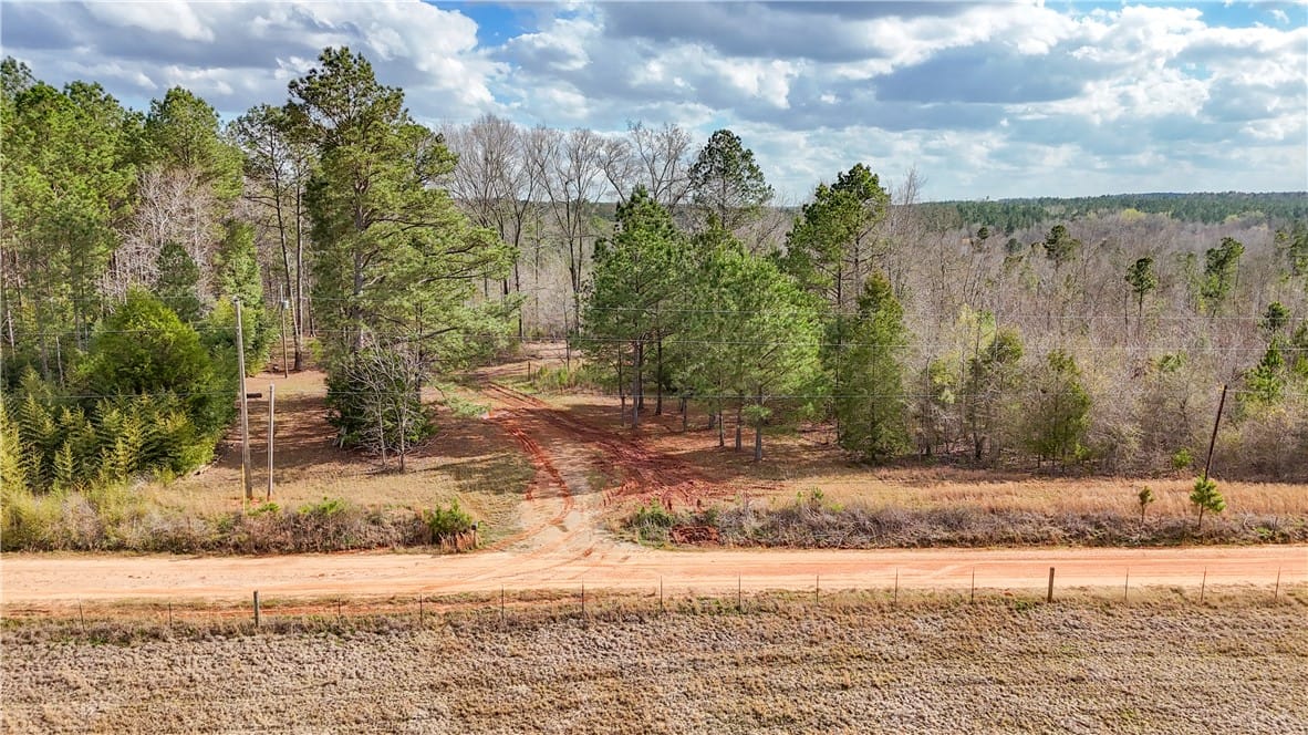 0 COUNTY ROAD 65, Lafayette, AL, 36862