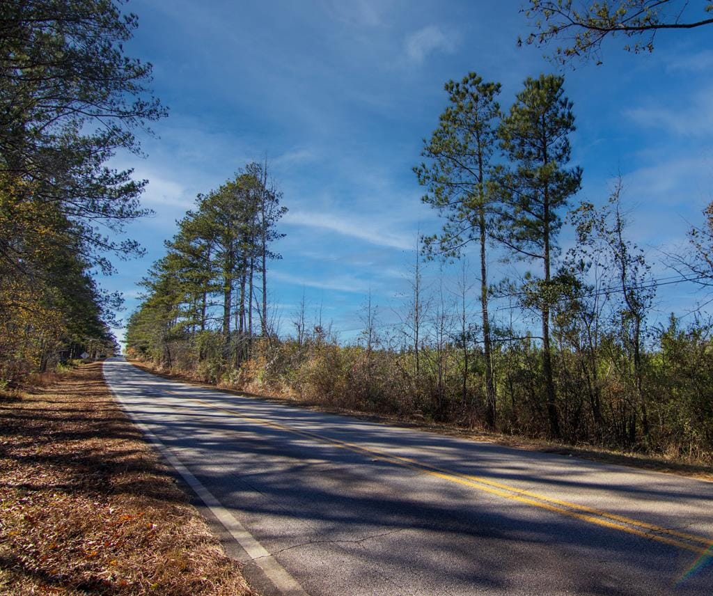 0 Chestnut Grove Road #5, Shiloh, GA, 31826