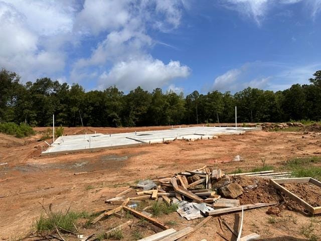 8001 Climbing Ivy Court, Fortson, GA, 31808