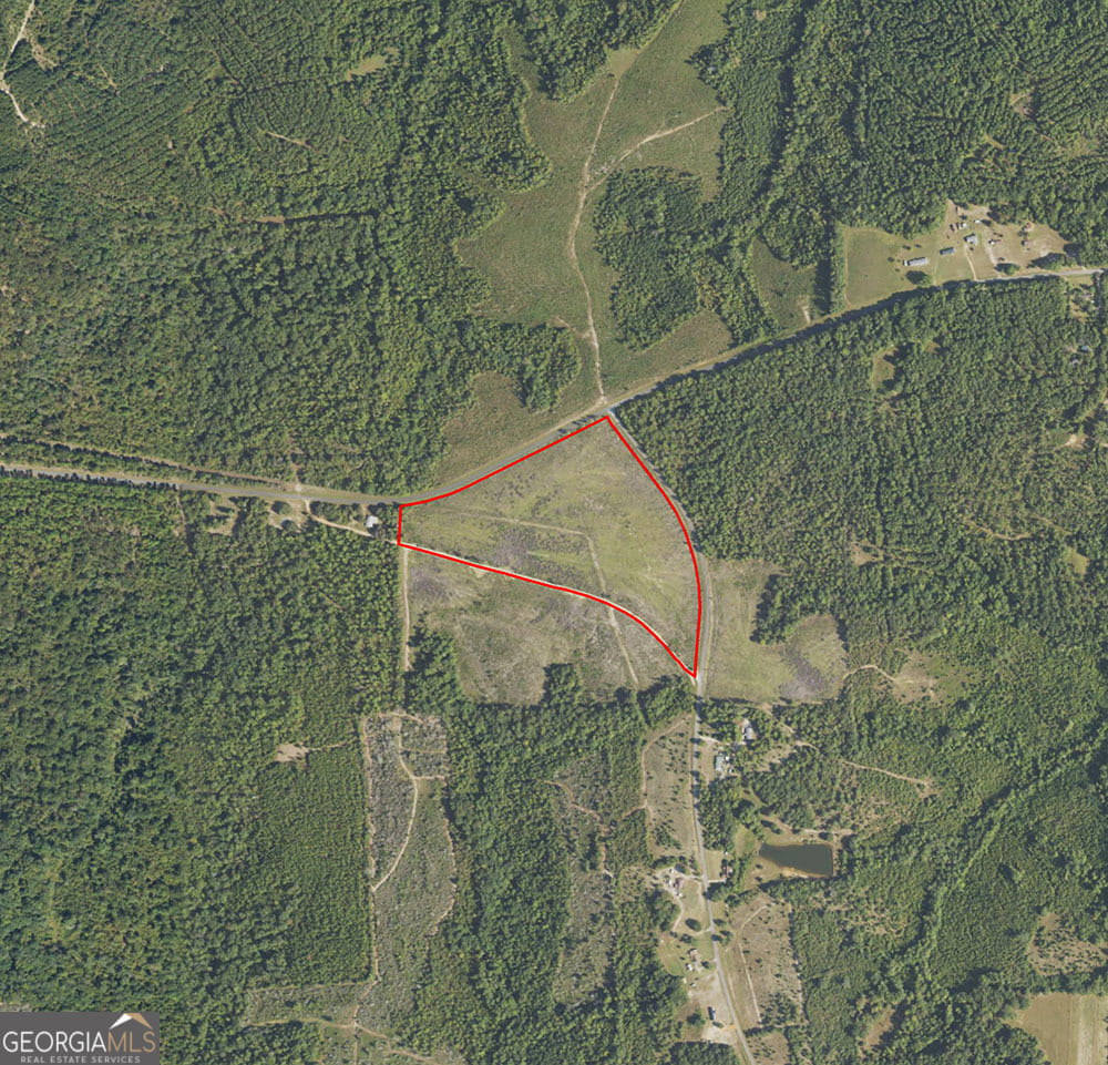 1 Pineville, Buena Vista, GA, 31803