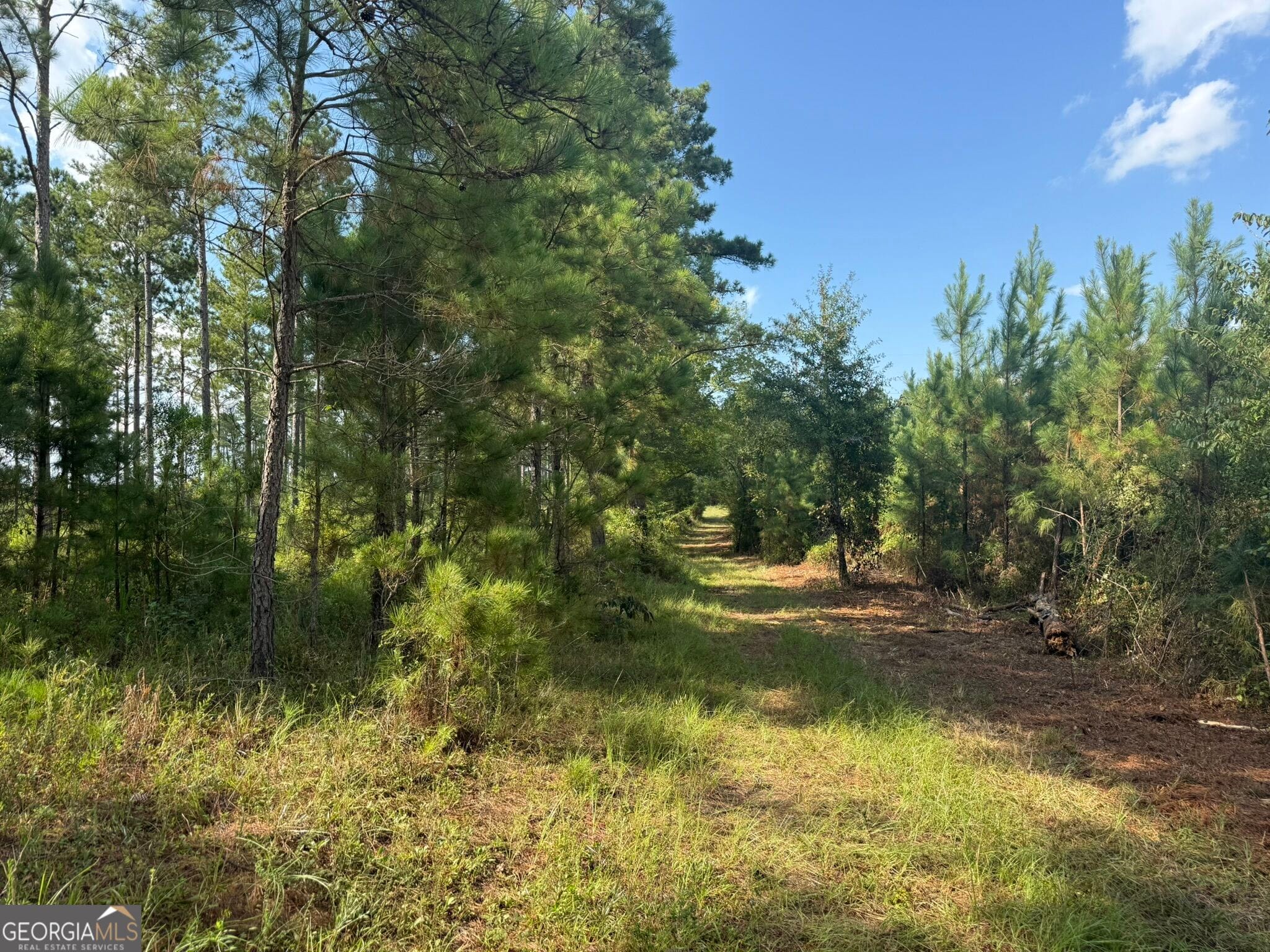 2 George Milling Road, Cuthbert, GA, 39840