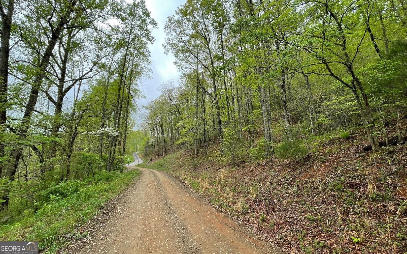 31 Nelson Ridge Rd, Hayesville, NC 28904
