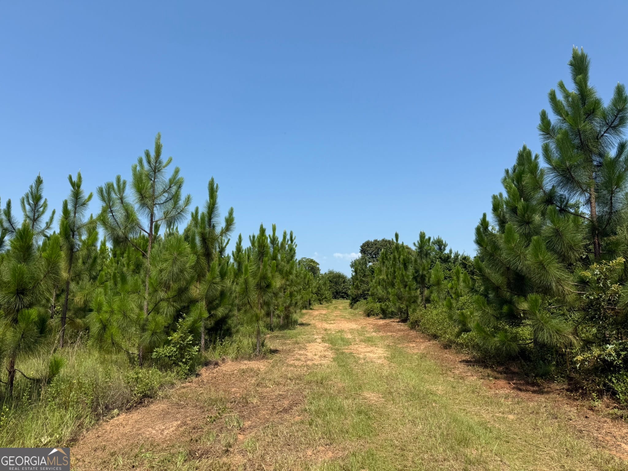 002 Barge, Lumpkin, GA, 31815