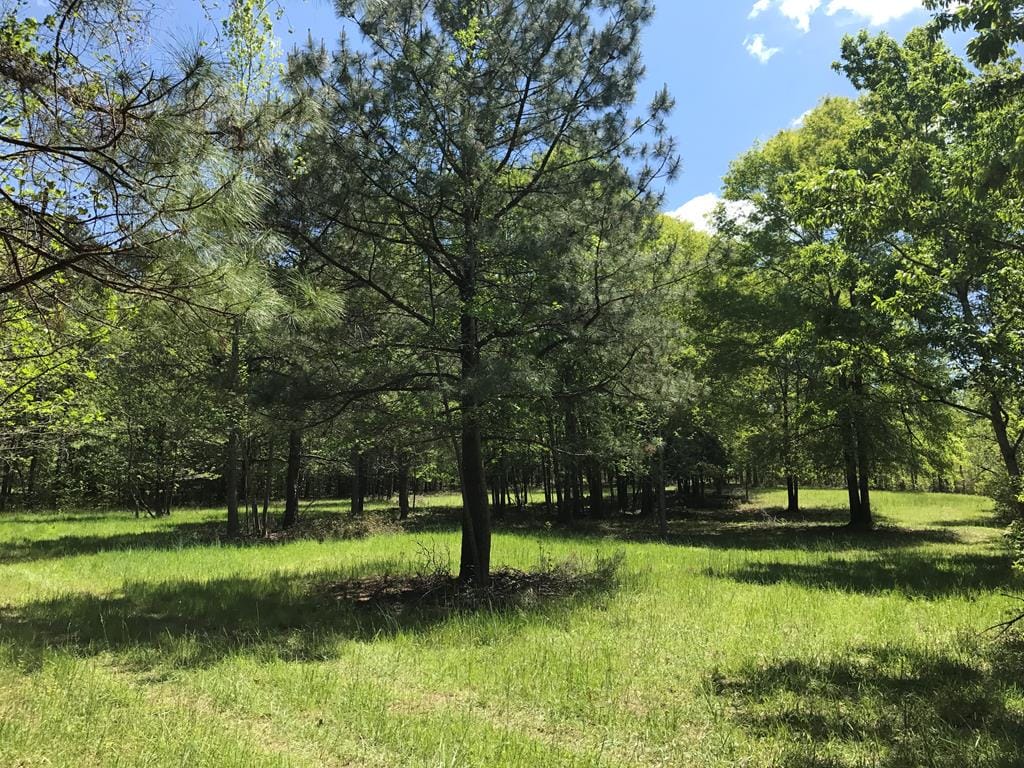 0 B Street, Pine Mountain Valley, GA, 31823