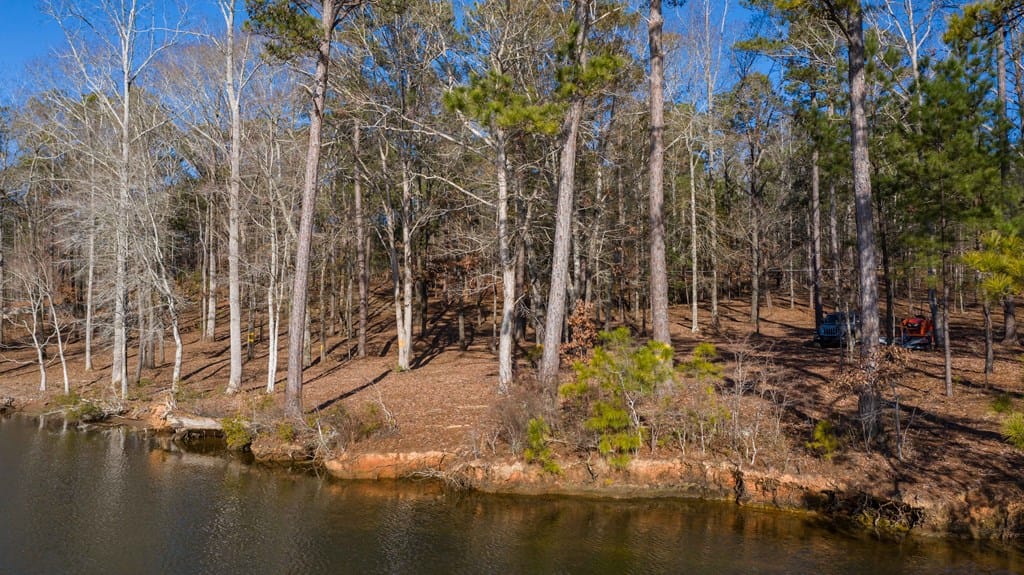 Lot 2 Hinton Drive, Hamilton, GA, 31811