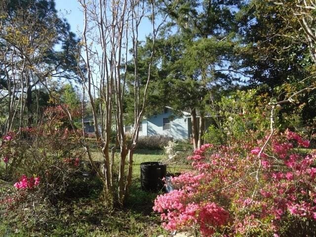 Mauk, GA 31058
